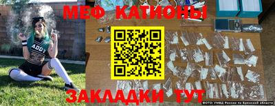 шишки Можга