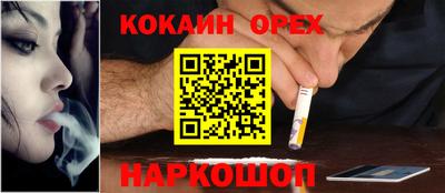 шишки Можга