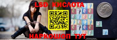 шишки Можга
