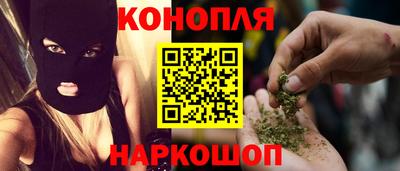 шишки Можга